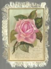 Victorian Christmas Card with Large Pink Rose and Fringe Season's Best Wishes