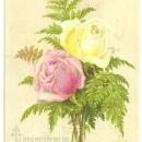 Victorian S. Hildesheimer New Year Card with Pink and Yellow Roses