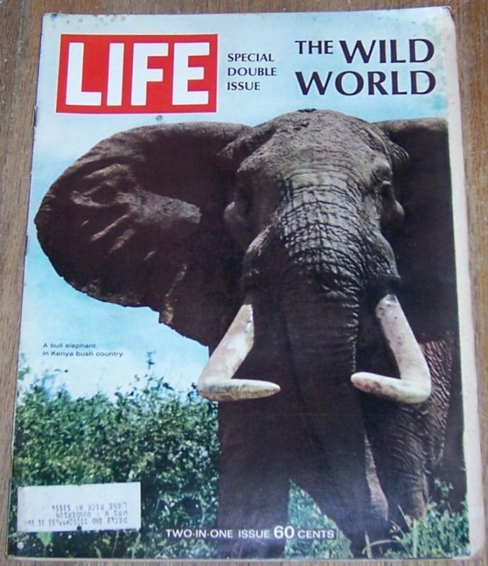 Life Magazine December 22, 1967 Special Double Issue the Wild World