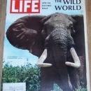 Life Magazine December 22, 1967 Special Double Issue the Wild World