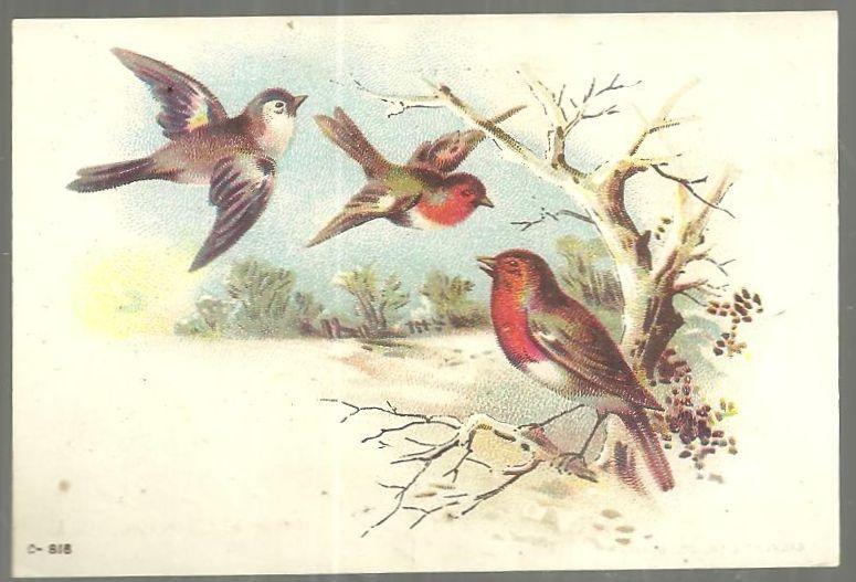 Victorian Trade Card Vienna Roller Mills Flour With Birds and Snowy Landscape