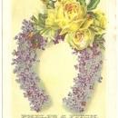Victorian Trade Card for Phelps and Fitch Dry Goods with Floral Horseshoe