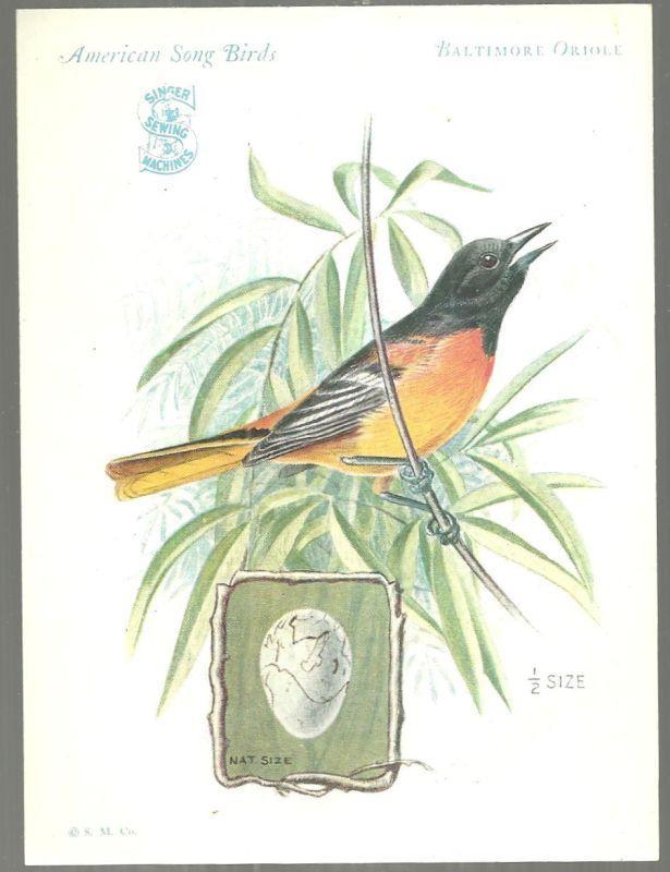 Victorian Trade Card Singer Sewing Machine American Song Birds Baltimore Oriole