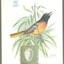 Victorian Trade Card Singer Sewing Machine American Song Birds Baltimore Oriole