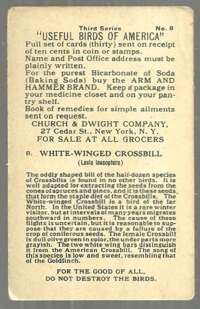 Victorian Trade Card Church and Dwight Cow Baking Soda White-Winged Crossbill