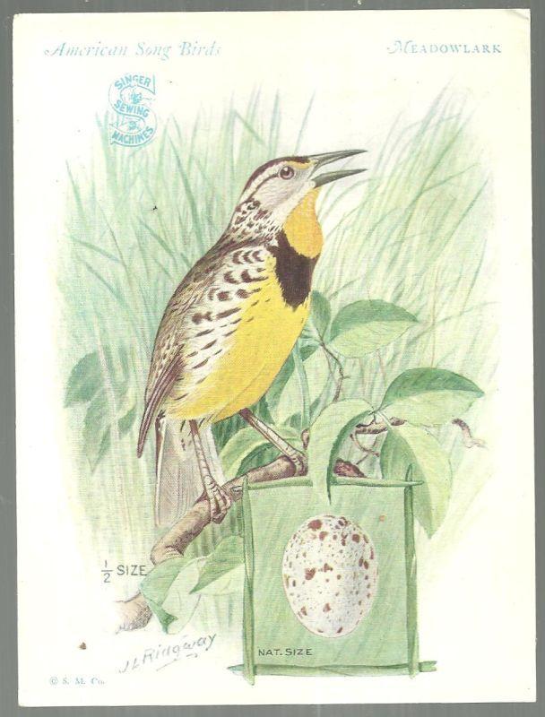 Victorian Trade Card Singer Sewing Machine American Song Birds Meadowlark
