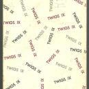 Twigs IX Number 2 Spring 1973 Poetry and Stories from Southern Authors