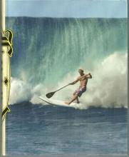 Force of Nature Mind, Body, Soul, and, of Course, Surfing by Laird Hamilton