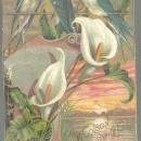 Victorian Trade Card For Lion Coffee Easter Greeting with Birds and Lilies