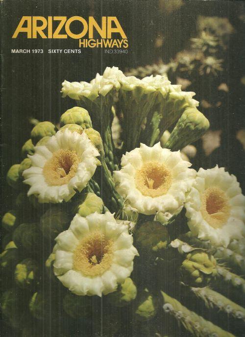 Arizona Highways Magazine March 1973 The Desert and Cactus