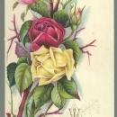 Victorian Prayer Card with Roses Who is he that overcometh the world 1 John 5: 5