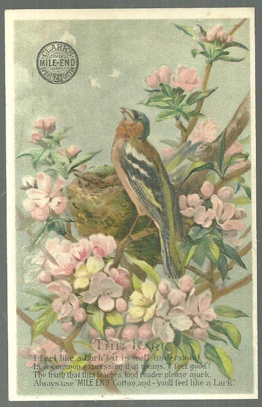 Victorian Trade Card for Clark's Mile End Spool Cotton with the Lark
