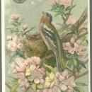 Victorian Trade Card for Clark's Mile End Spool Cotton with the Lark