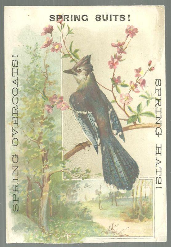 Victorian Trade Card for Besse, Bryant & Co. Spring and Summer Clothing Bluejay