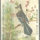 Victorian Trade Card for Besse, Bryant & Co. Spring and Summer Clothing Bluejay