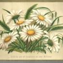 Victorian Birthday Greeting Card with Daisies Wishing You All Happiness