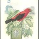 Victorian Trade Card for Singer Sewing Machine Song Birds Series Scarlet Tanger