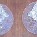 Vintage Pair of Fostoria Corsage Etched Candlesticks