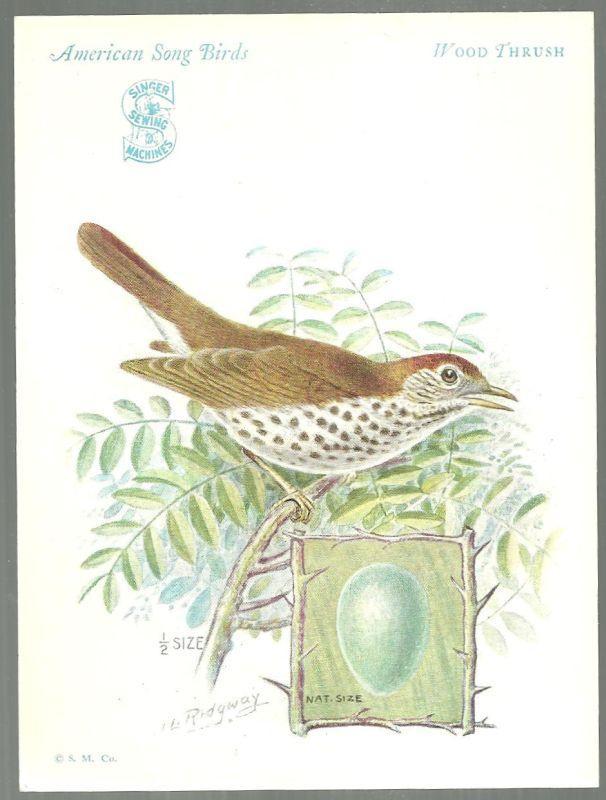Victorian Trade Card for Singer Sewing Machine Song Birds Series Wood Thrush