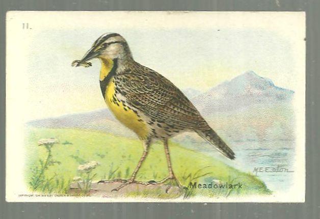 Victorian Trade Card for Arm and Hammer Useful Birds of America Meadowlark