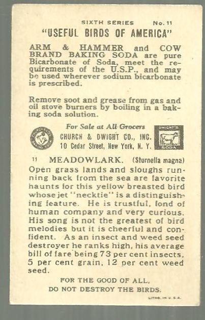 Victorian Trade Card for Arm and Hammer Useful Birds of America Meadowlark