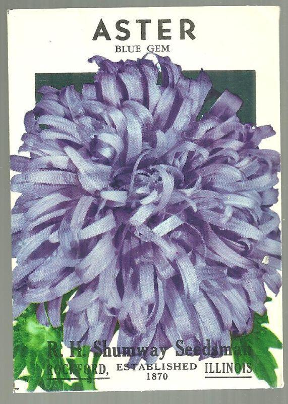 Vintage Empty Package for Aster, Blue Gem. R. H. Shumway, Rockford, Illinois