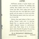 Vintage Empty Package for Aster, Blue Gem. R. H. Shumway, Rockford, Illinois
