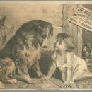 Victorian Trade Card for Dr. Roger's Compound Syrup Liverwort With Adoration