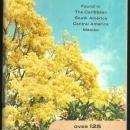 Tropical Trees Found in the Caribbean, South America, Central America and Mexico