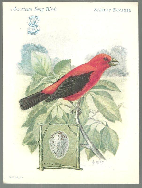 Lot of Two Victorian Trade Cards Singer Sewing Machine Song Birds Series