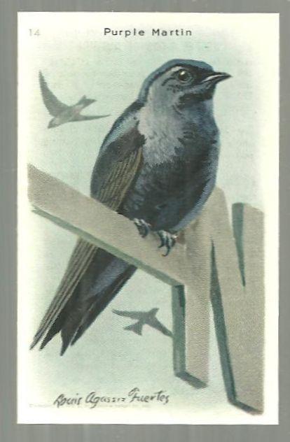 Victorian Trade Card for Church and Dwight Baking Soda with Purple Martin Bird