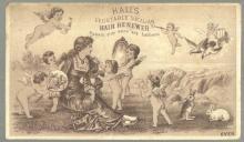 Victorian Trade Card for Hall's Vegetable Sicilian Hair Renewer with Lovely Lady