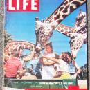 Life Magazine August 1, 1960 Safari in New US Fun Spot on cover/Space Suit