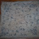 Vintage Square Scarf with Blue Roses on Light Grey Background and Blue Border