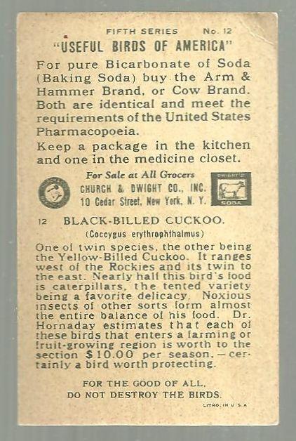 Victorian Trade Card for Arm and Hammer Useful Birds Black-Billed Cuckoo