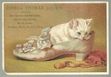 Victorian Trade Card for Joshua Thomas Dry Goods Ovid, NY with Kitten in Shoe