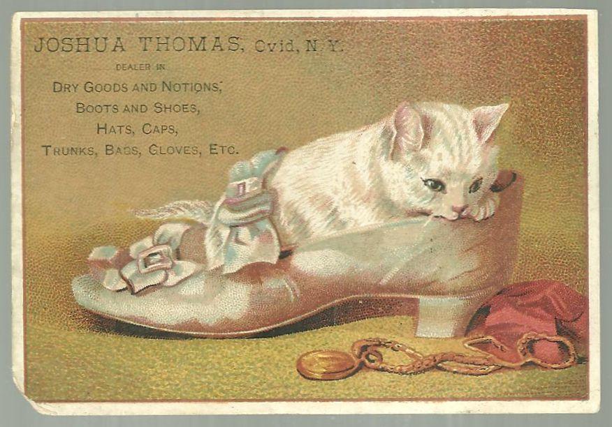 Victorian Trade Card for Joshua Thomas Dry Goods Ovid, NY with Kitten in Shoe