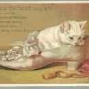 Victorian Trade Card for Joshua Thomas Dry Goods Ovid, NY with Kitten in Shoe