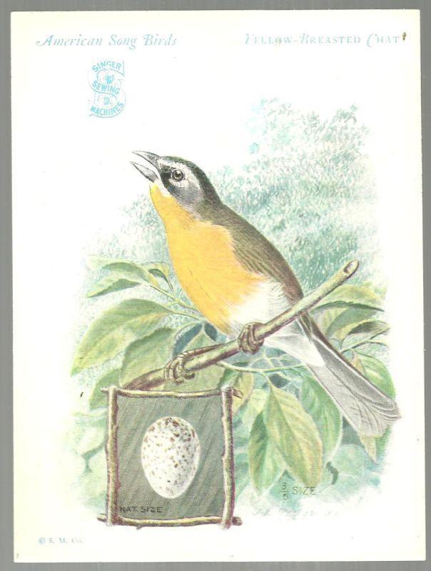Victorian Trade Card Singer Sewing Machine Bird Series Yellow-Breasted Chat