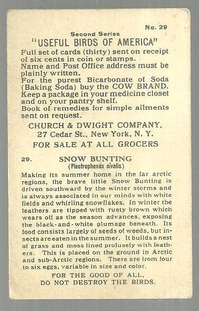 Victorian Trade Card Church and Dwight Cow Baking Soda The Snow Bunting