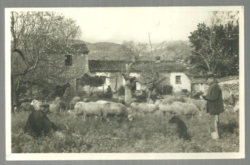 Real Photo Postcard Sheep Farmers Their Dog at Casa de Campo Mallorca, Spain