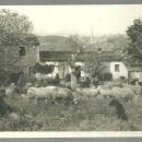 Real Photo Postcard Sheep Farmers Their Dog at Casa de Campo Mallorca, Spain