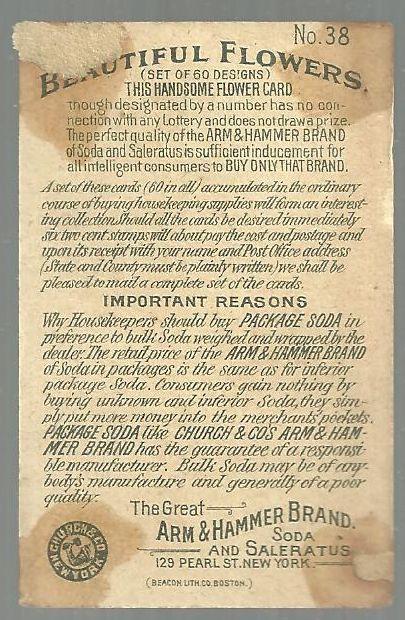 Victorian Trade Card Arm and Hammer Baking Soda Beautiful Flowers Cornflower