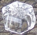 Colonis Open Individual Salt Clear
