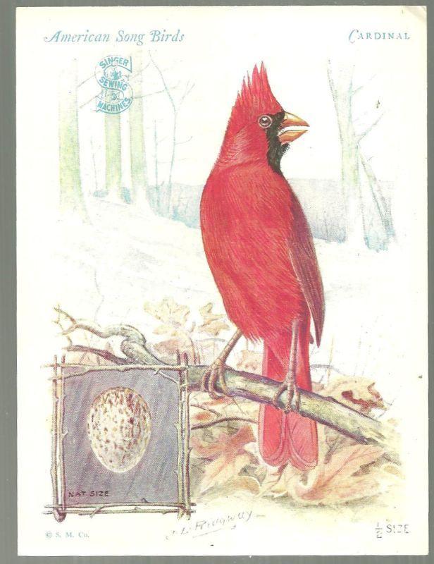 Victorian Trade Card Singer Sewing Machine American Song Birds Series Cardinal