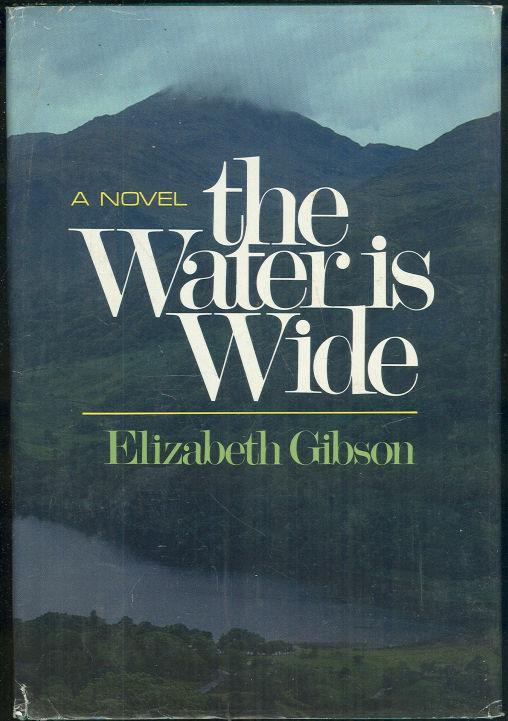 Water is Wide by Elizabeth Gibson 1984 1st ed DJ A Novel of Northern Ireland