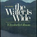 Water is Wide by Elizabeth Gibson 1984 1st ed DJ A Novel of Northern Ireland