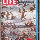 Life Magazine September 28, 1959 Bird Migration cover/Moon/Baseball/Miss America