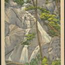 Unused Vintage Postcard of Glen Burnia Falls Near Blowing Rock, North Carolina