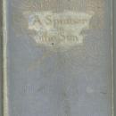 Spinner in the Sun by Myrtle Reed 1906 1st edition Victorian Romance
